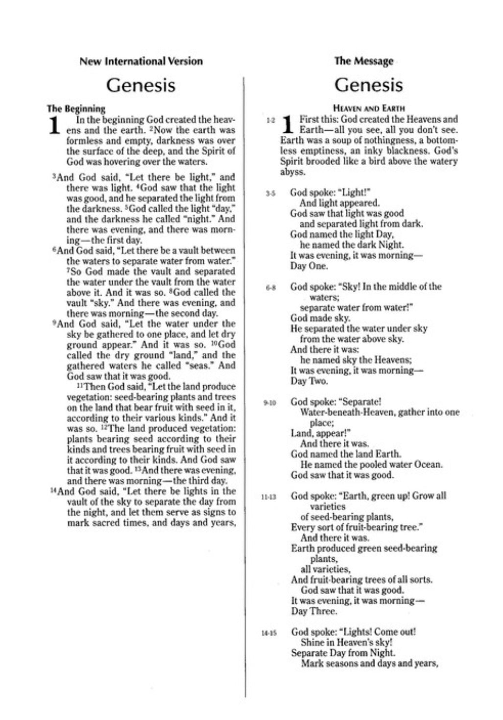 NIV & The Message Parallel Study Bible- Dark Caramel