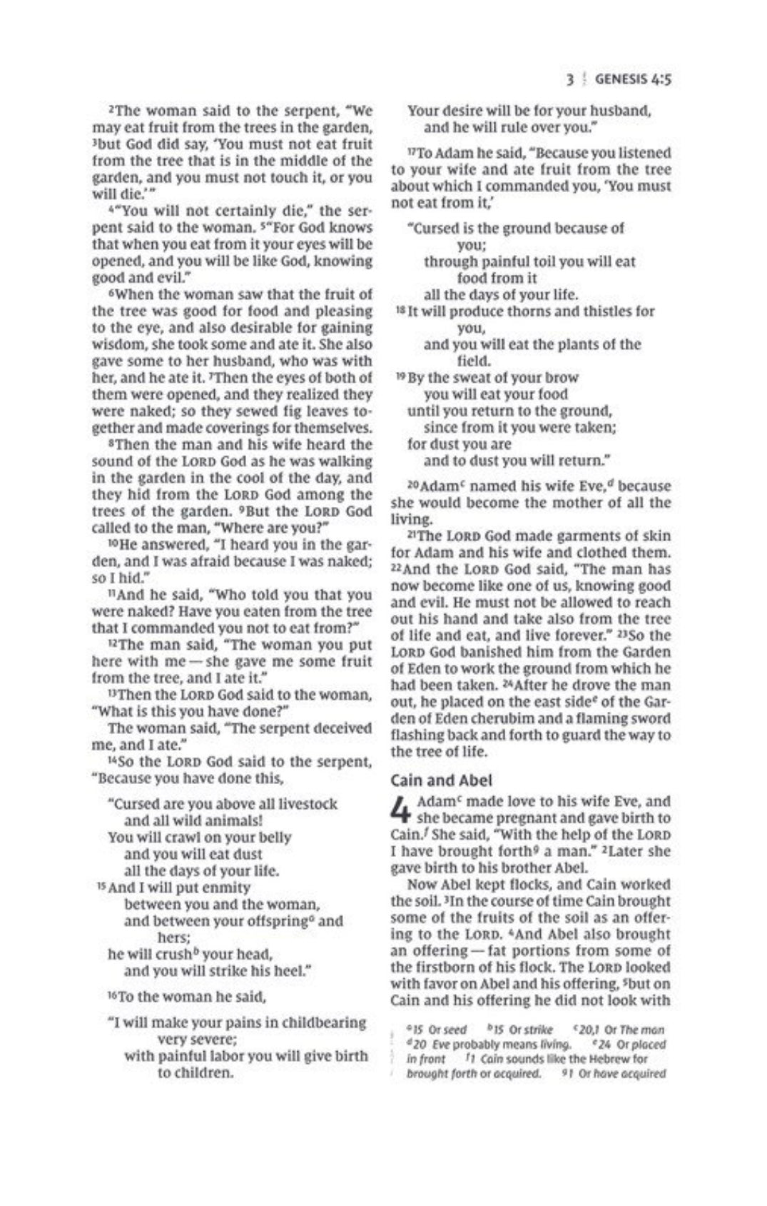 NIV Thinline Bible | Blue | Teens