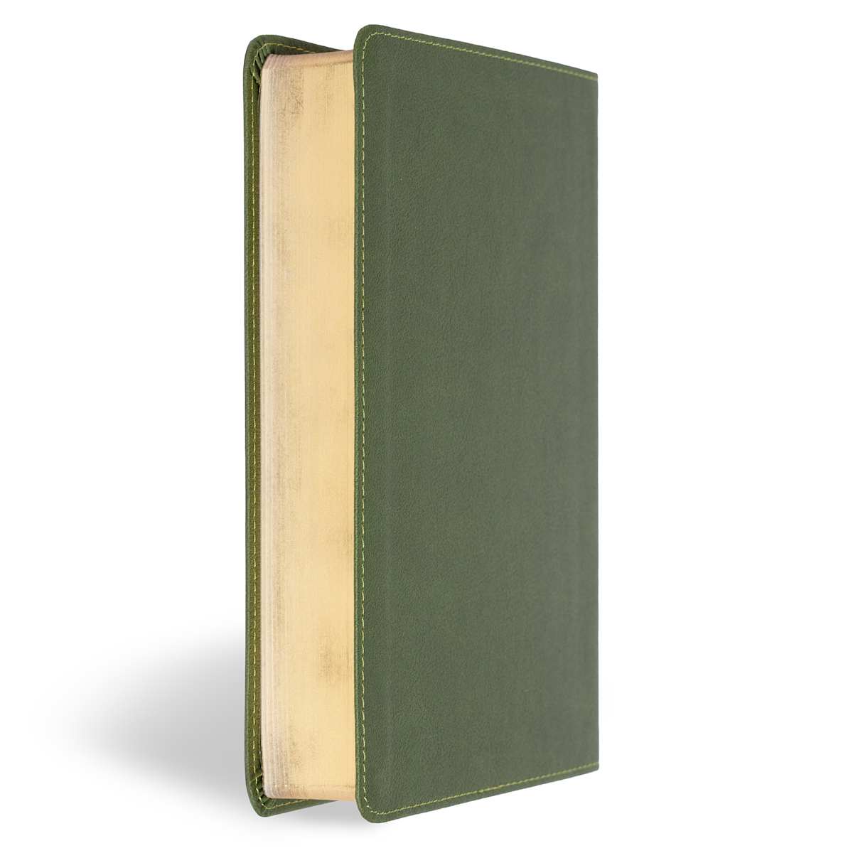 CSB Large Print Personal Size Digital Study Bible
