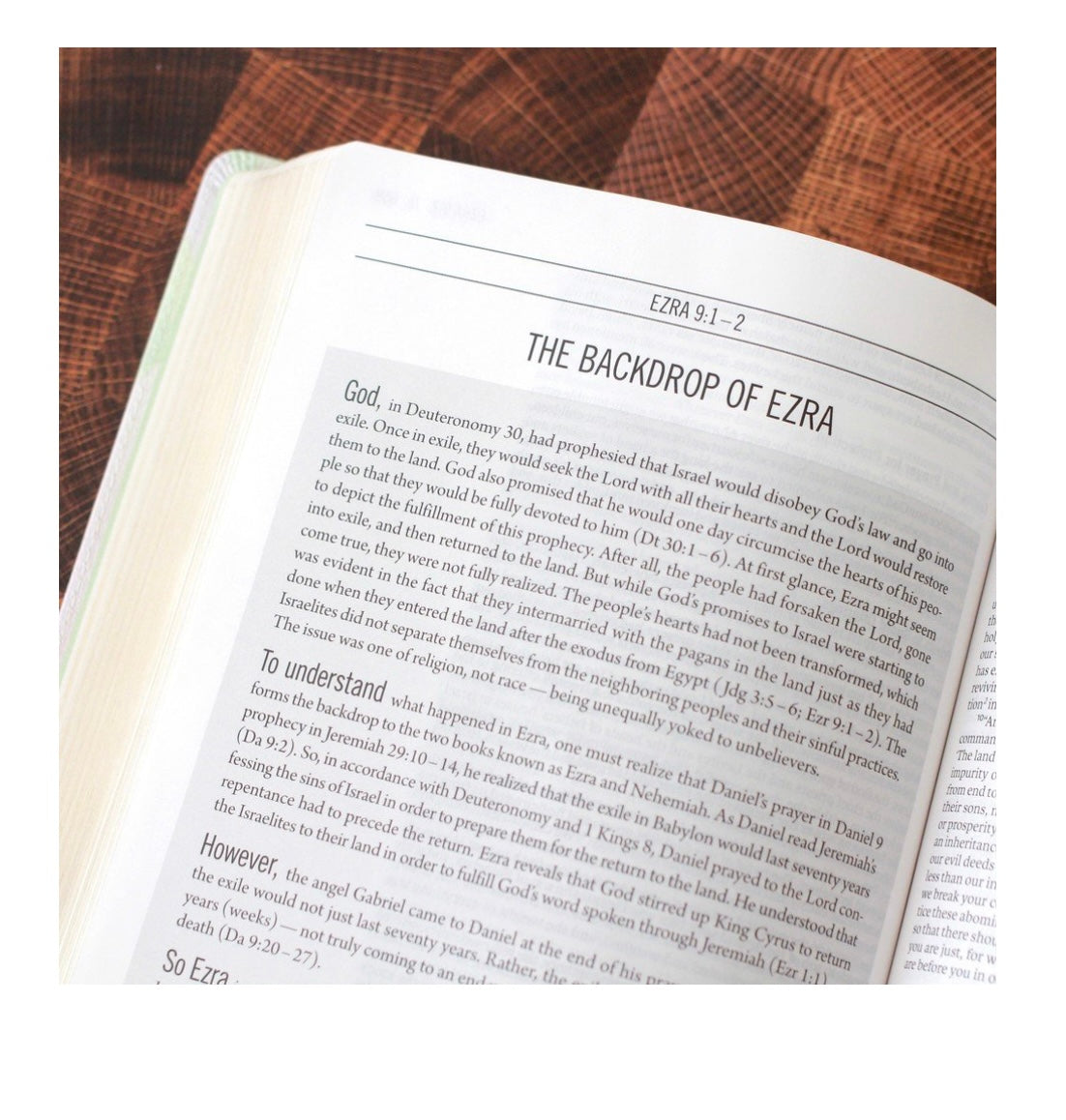 The Jesus Bible | ESV | Multicolor | Soft Leather-look