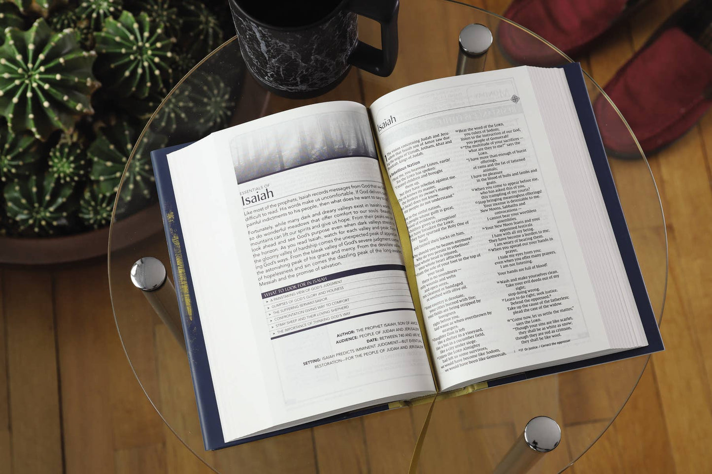 NIV, Men's Devotional Bible