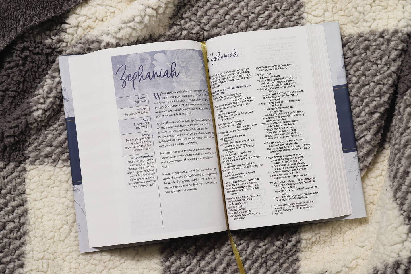 NIV, Women's Devotional Bible