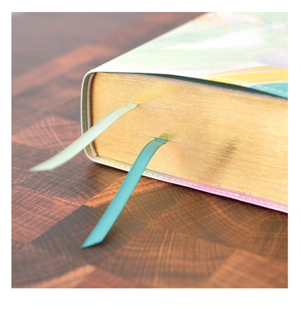 The Jesus Bible | ESV | Multicolor | Soft Leather-look