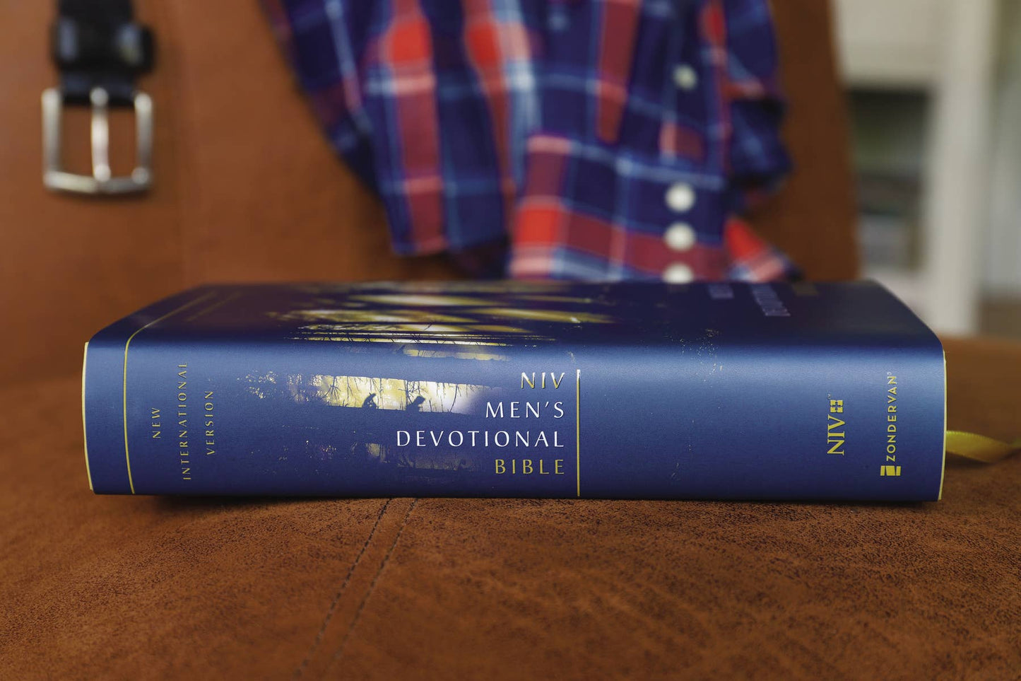 NIV, Men's Devotional Bible