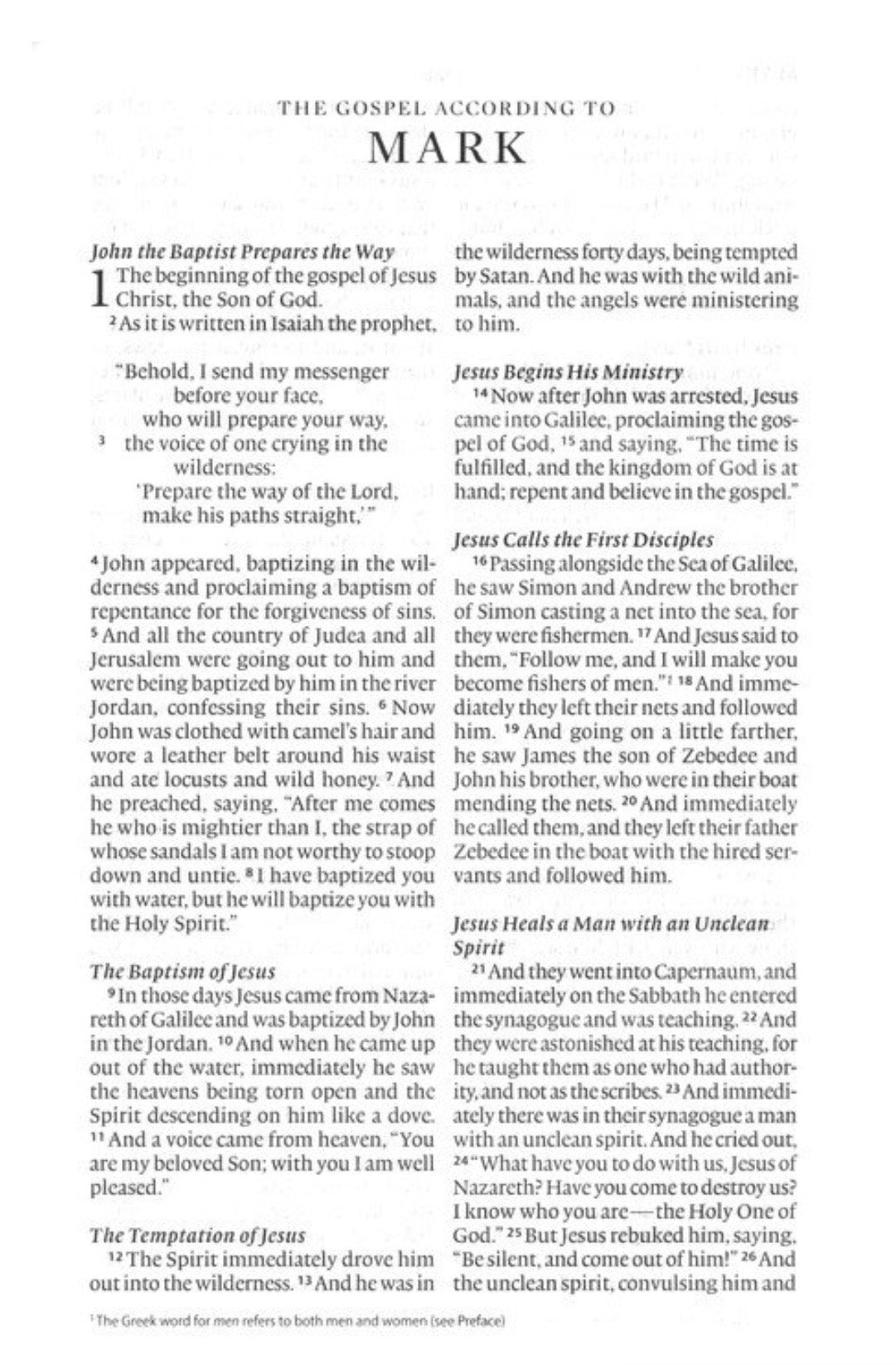 ESV Large Print Thinline Bible - River Stone