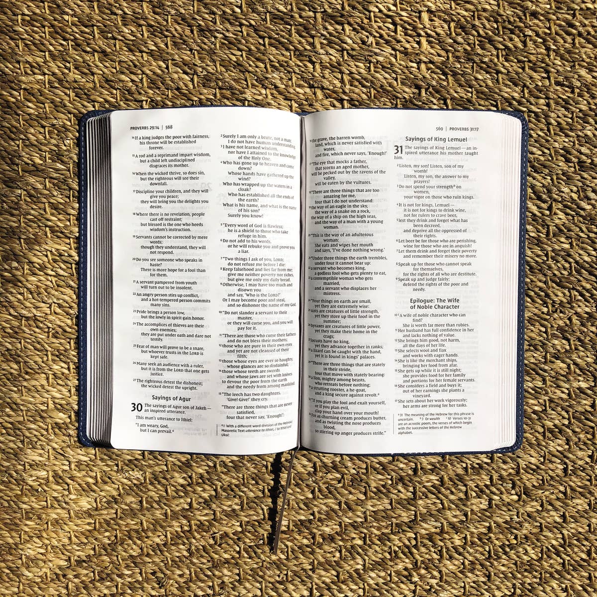 NIV, Bible For Teens