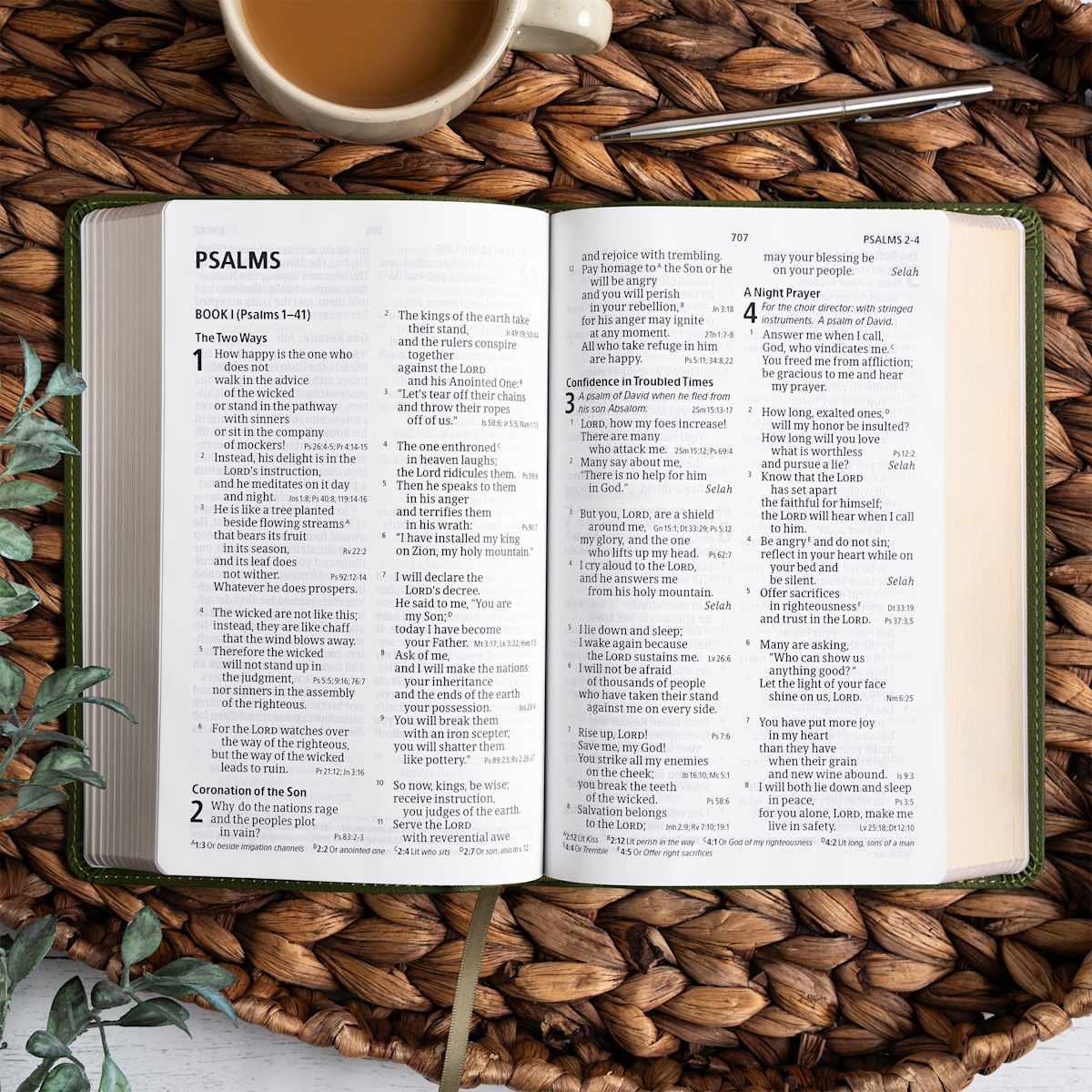 CSB Large Print Personal Size Digital Study Bible