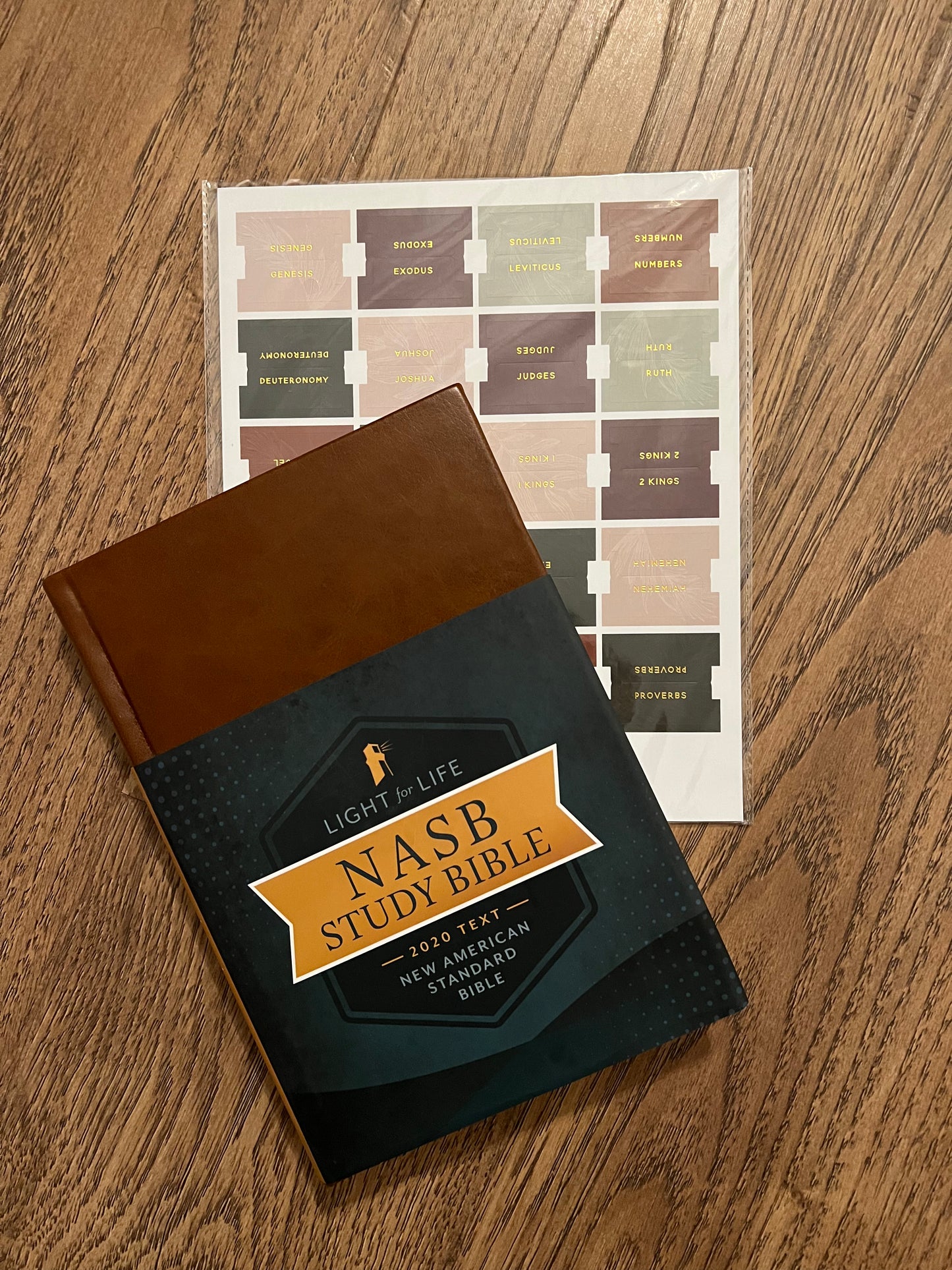 The Light for Life NASB Study Bible | Golden Camel