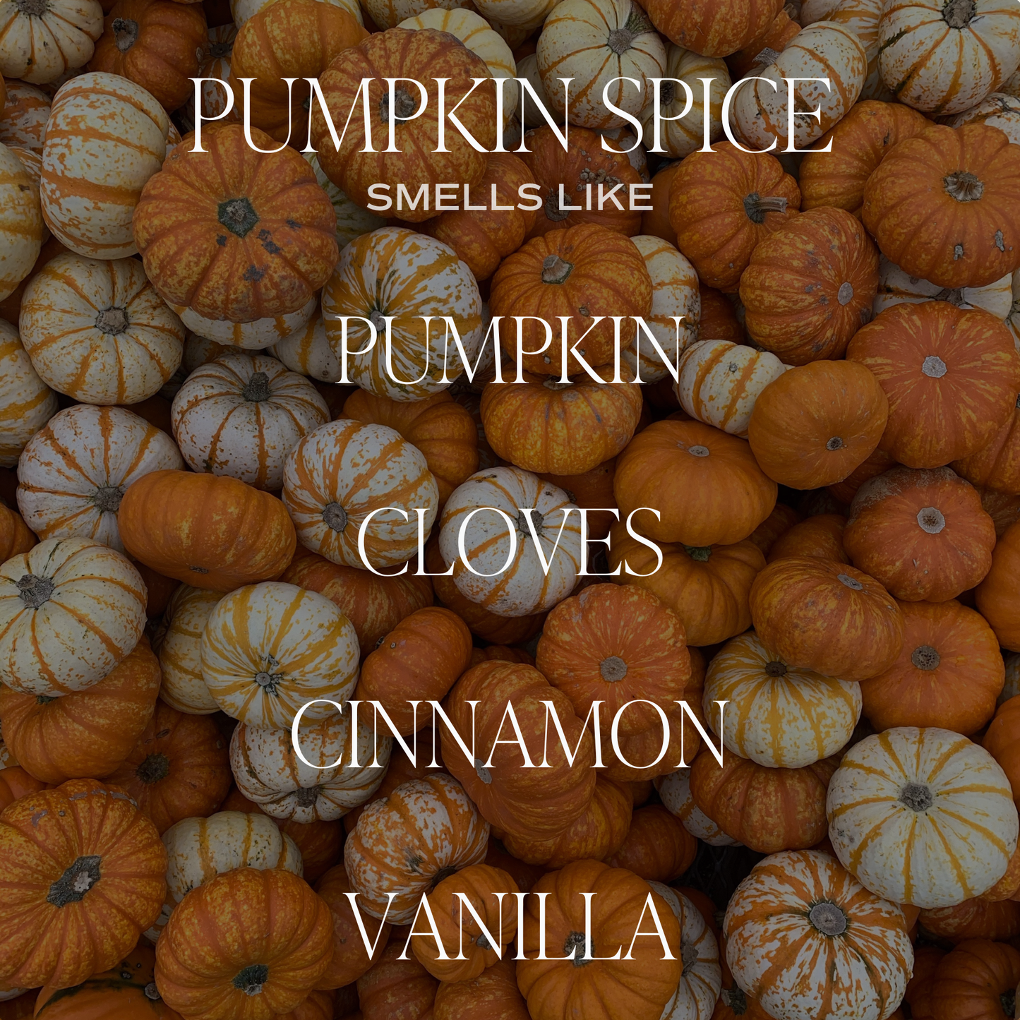 Pumpkin Spice 11 oz Soy Candle - Fall Home Decor & Gifts