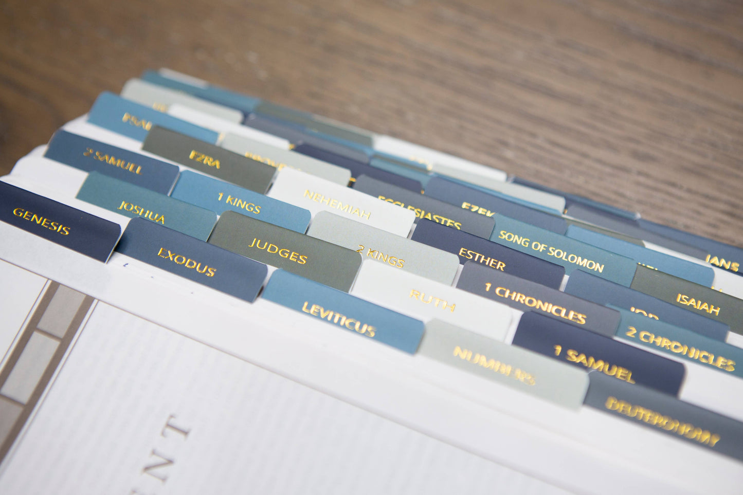 Mens Bible Tabs | Earth tone Bible Tabs