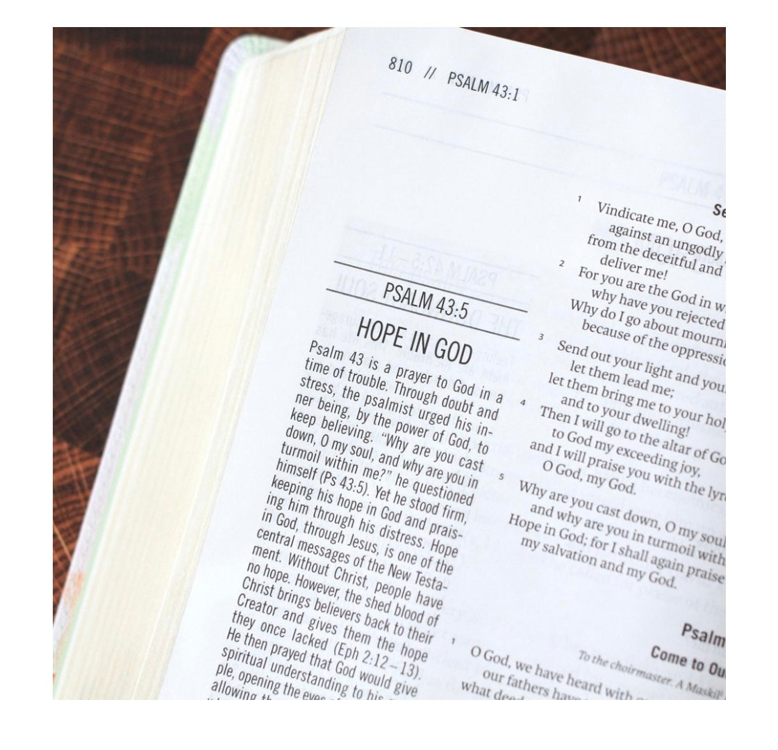 The Jesus Bible | ESV | Multicolor | Soft Leather-look