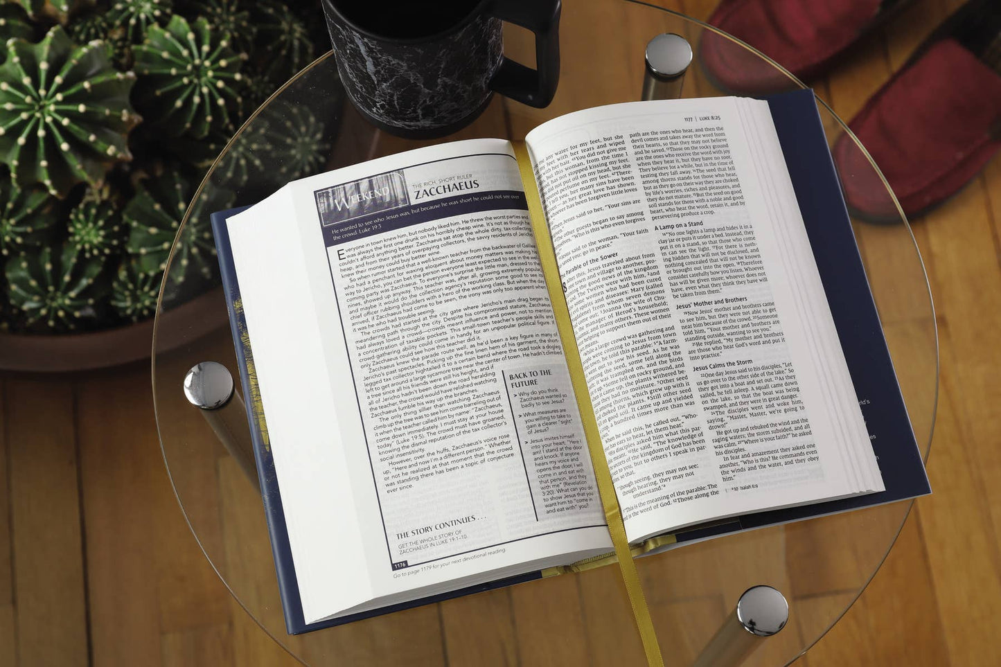 NIV, Men's Devotional Bible