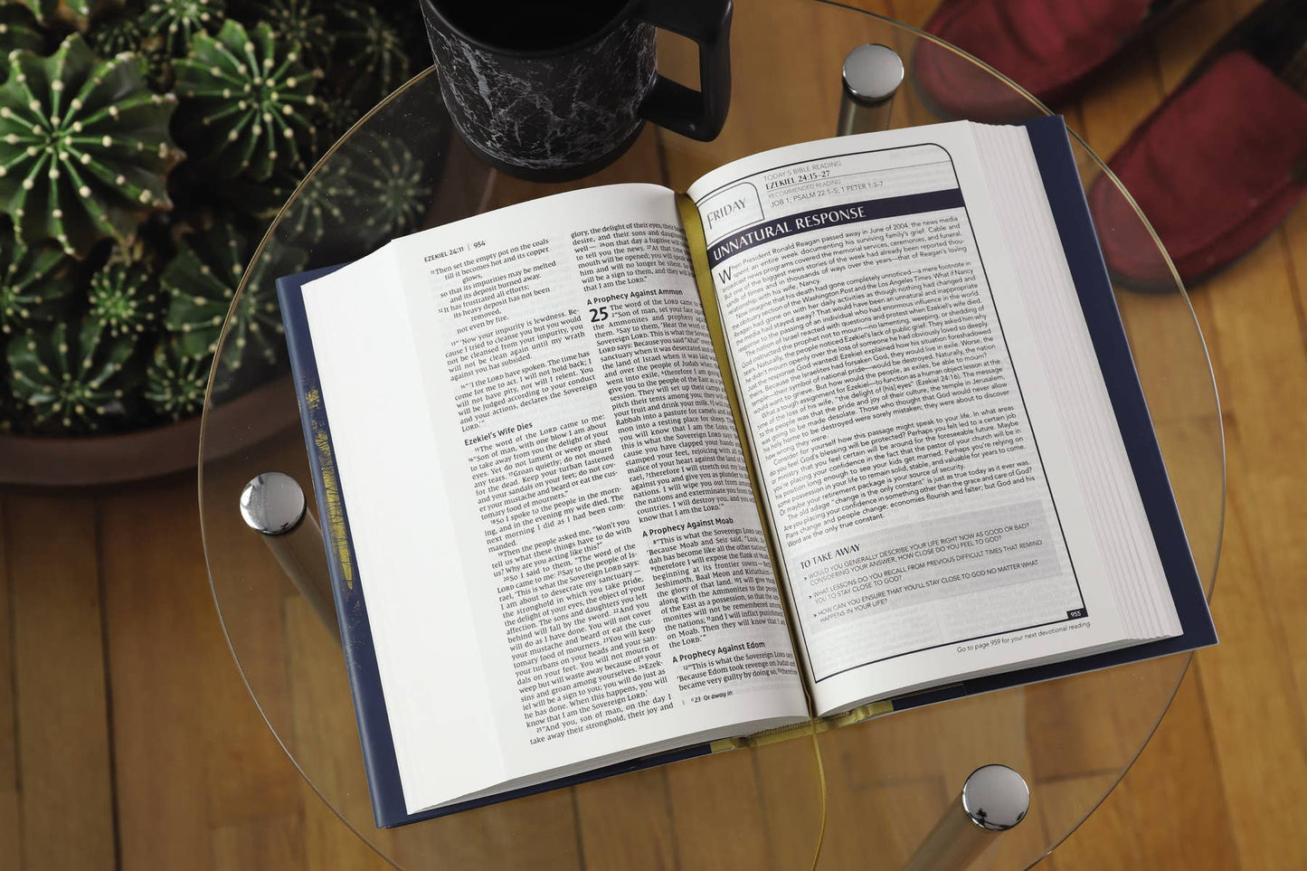 NIV, Men's Devotional Bible