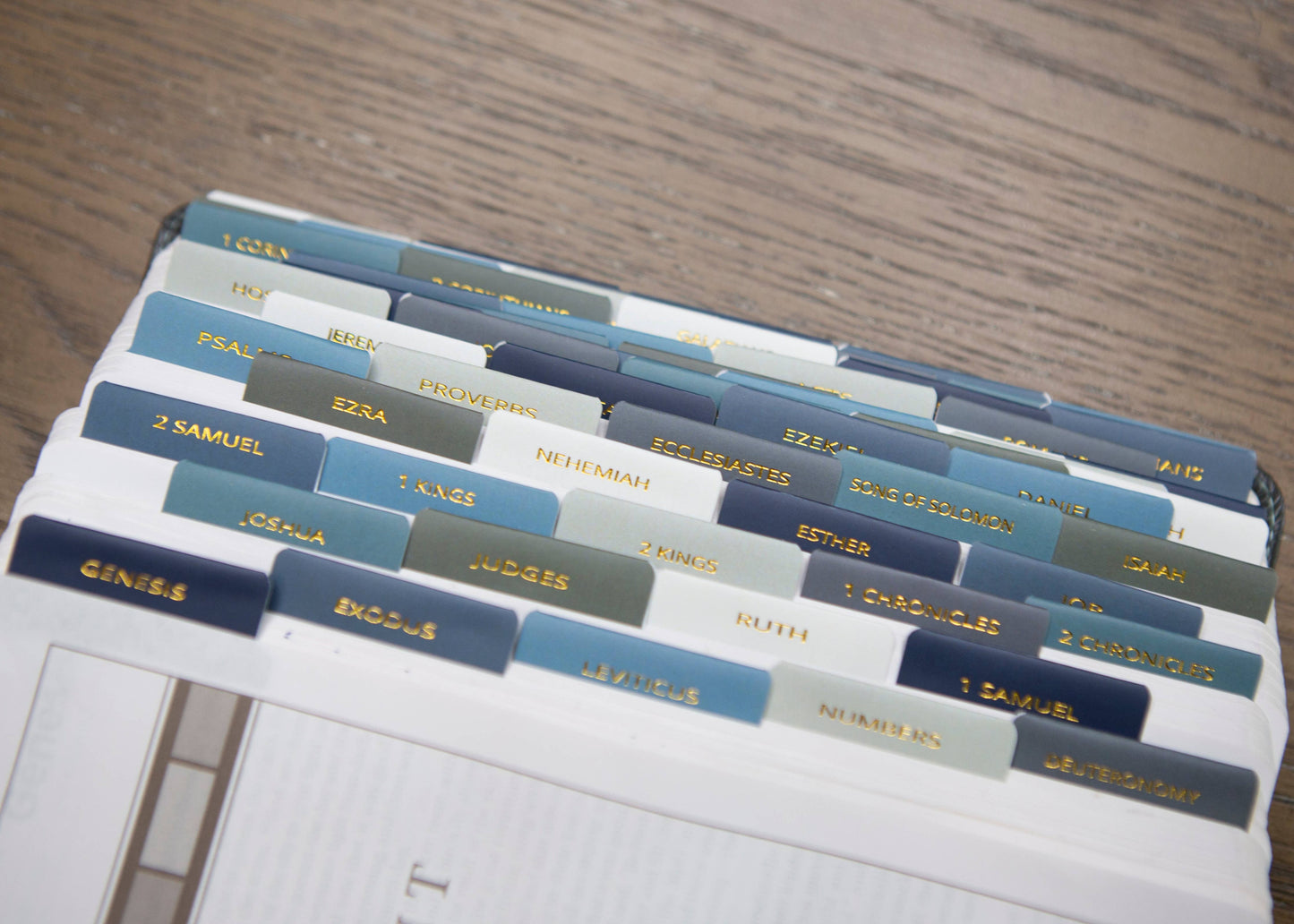 Mens Bible Tabs | Earth tone Bible Tabs