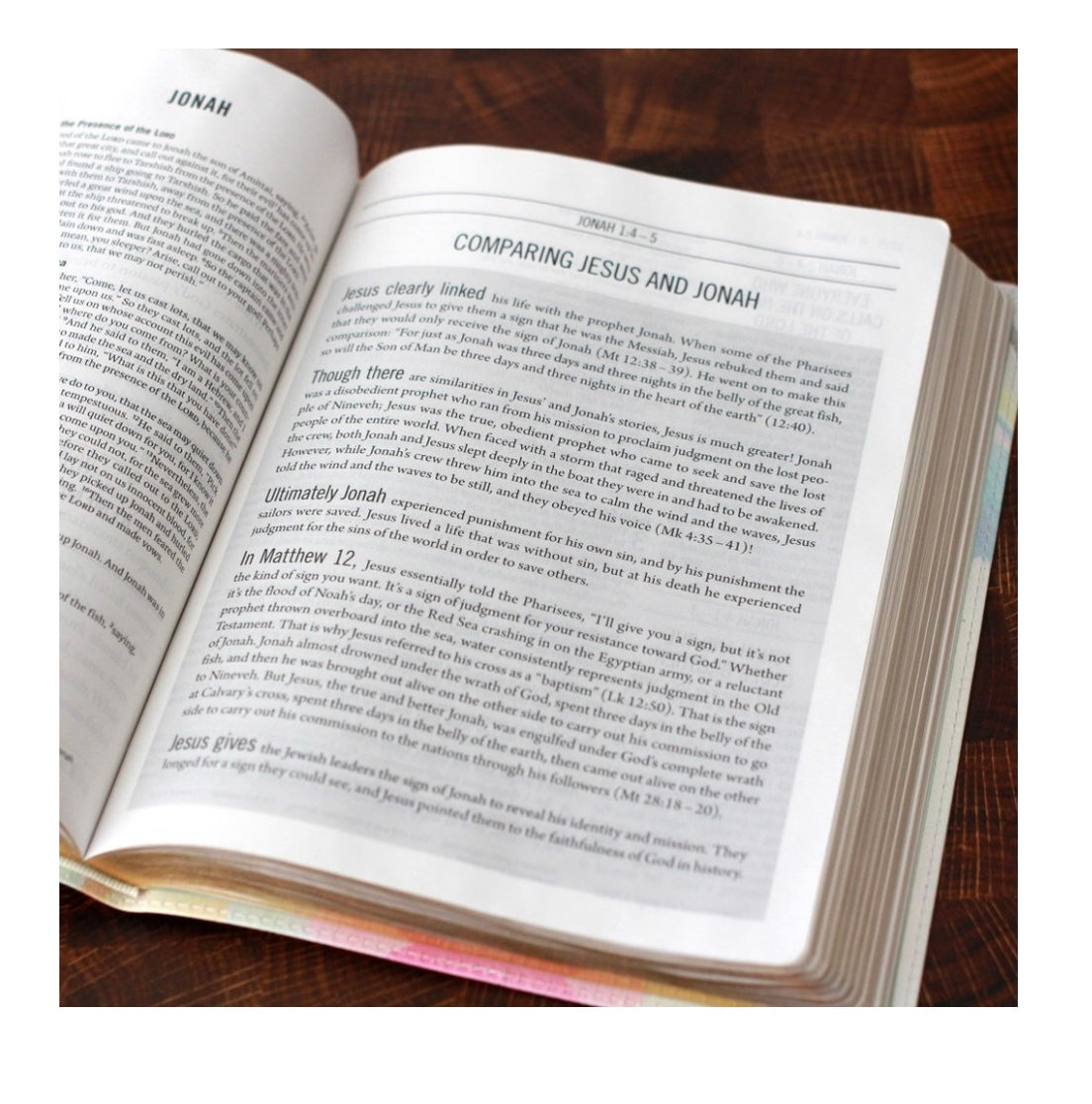 The Jesus Bible | ESV | Multicolor | Soft Leather-look