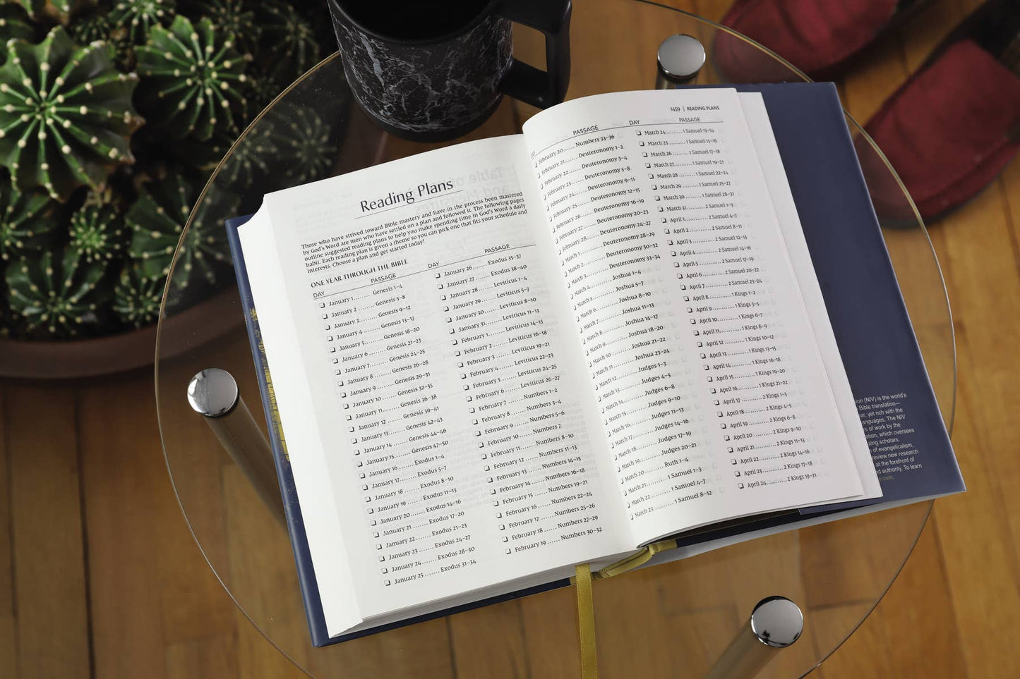 NIV, Men's Devotional Bible
