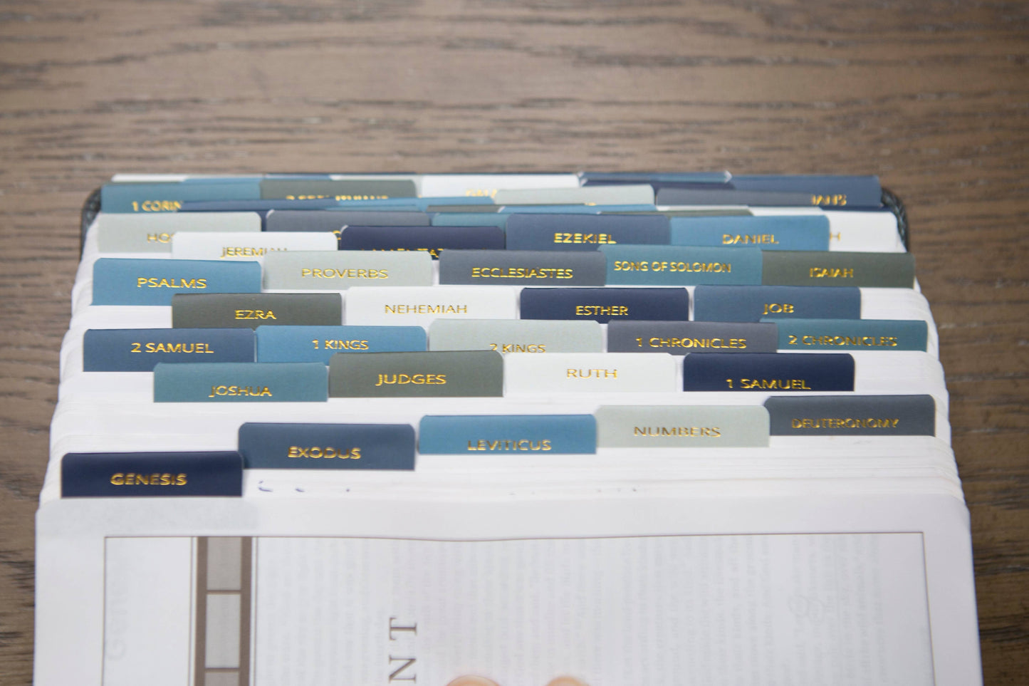 Mens Bible Tabs | Earth tone Bible Tabs