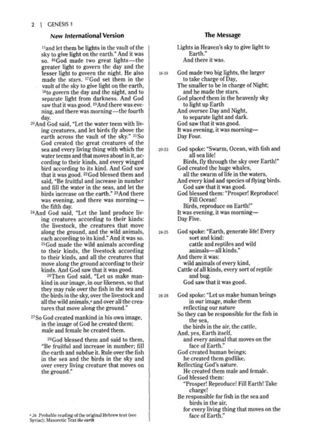 NIV & The Message Parallel Study Bible- Dark Caramel