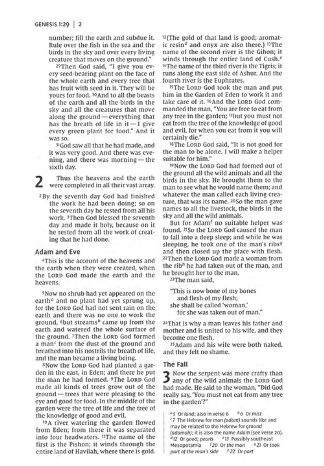 NIV Bible for Kids | Purple Thinline