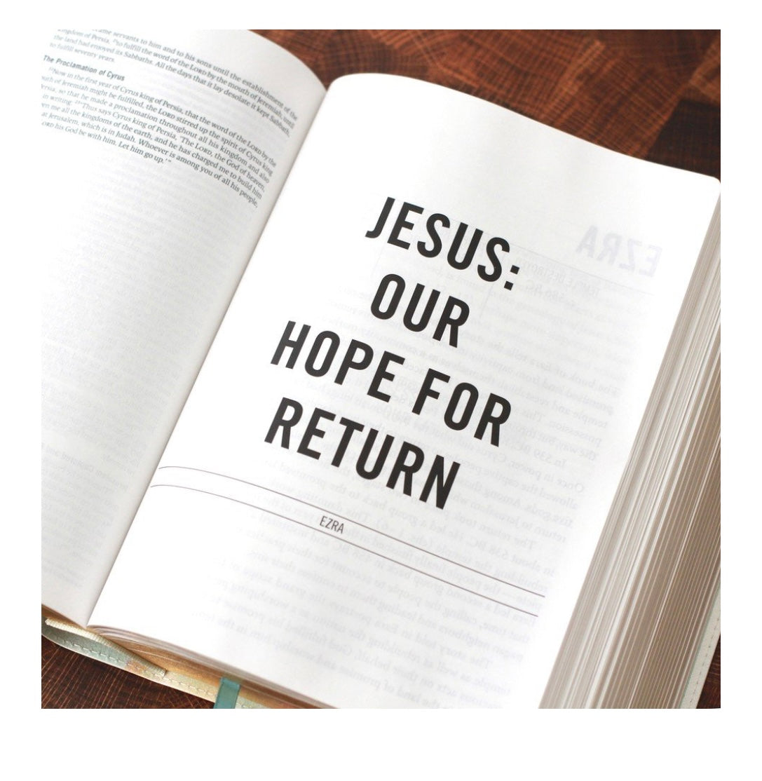 The Jesus Bible | ESV | Multicolor | Soft Leather-look