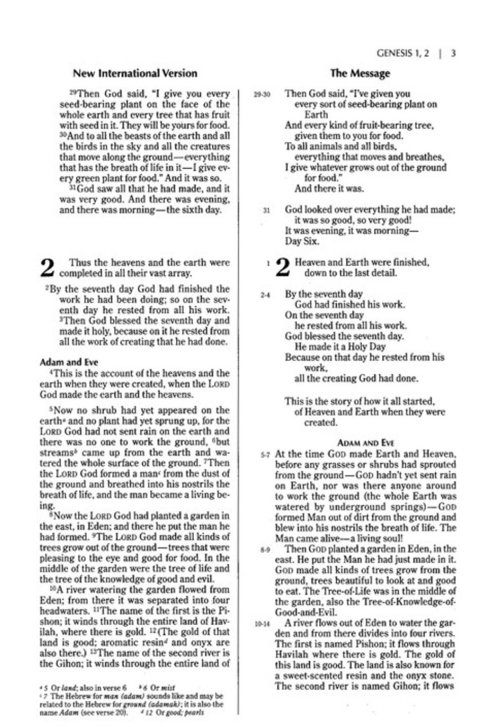 NIV & The Message Parallel Study Bible- Dark Caramel