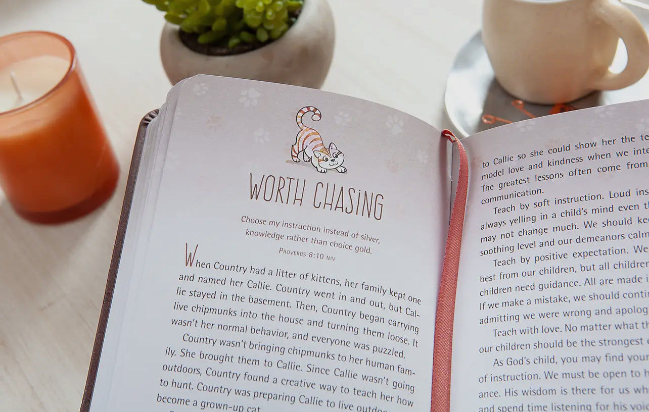 52 Devotions For Cat Lovers