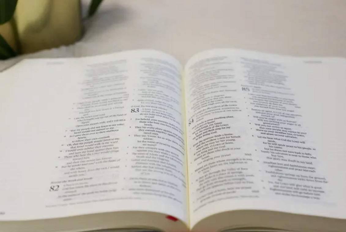 ESV Journaling Bible -God is Within Her-