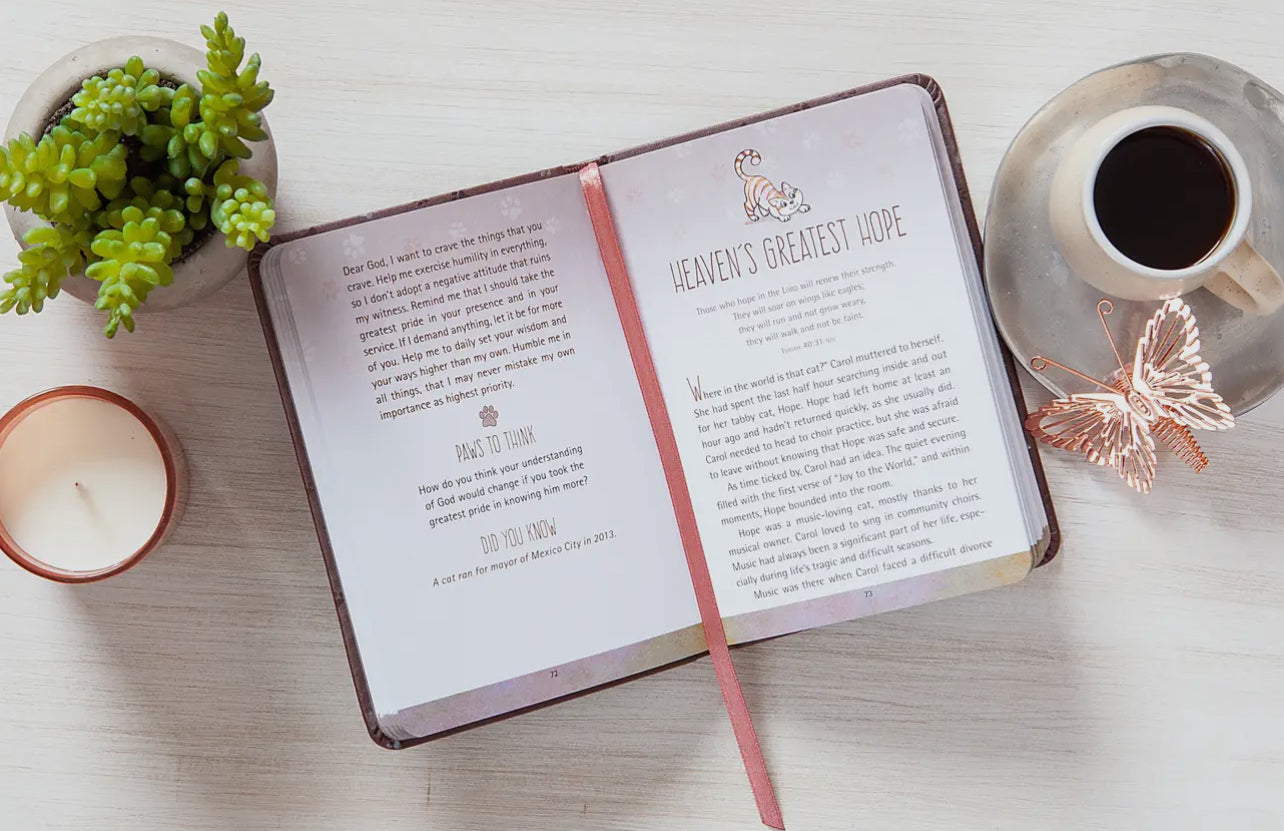 52 Devotions For Cat Lovers