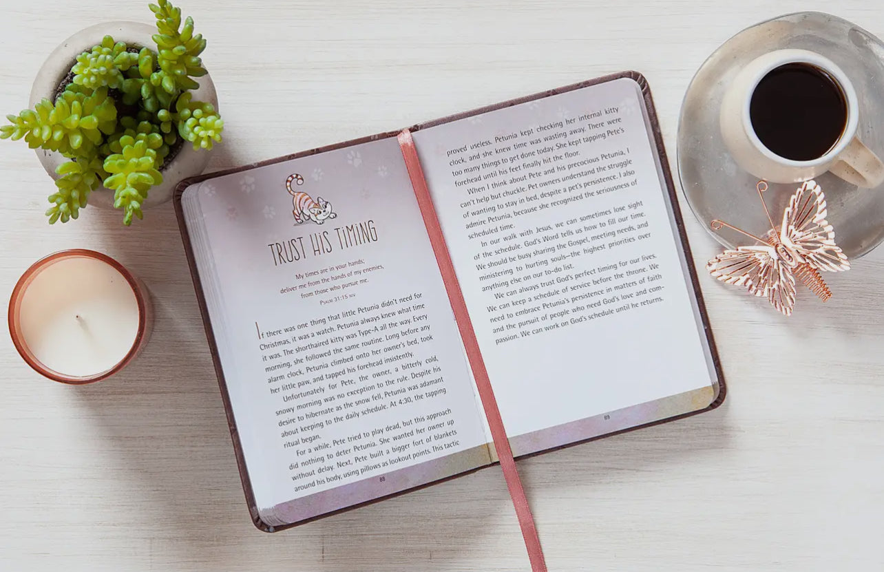 52 Devotions For Cat Lovers
