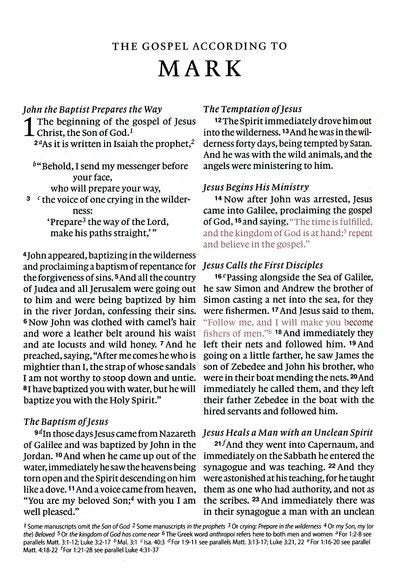 ESV Large Print Compact Bible, Red Letter--hardcover, spring bloom