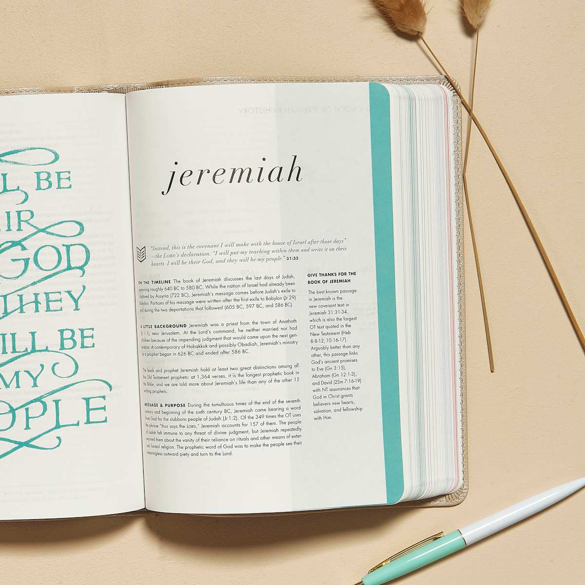 CSB She Reads Truth Bible, Champagne Gold LeatherTouch