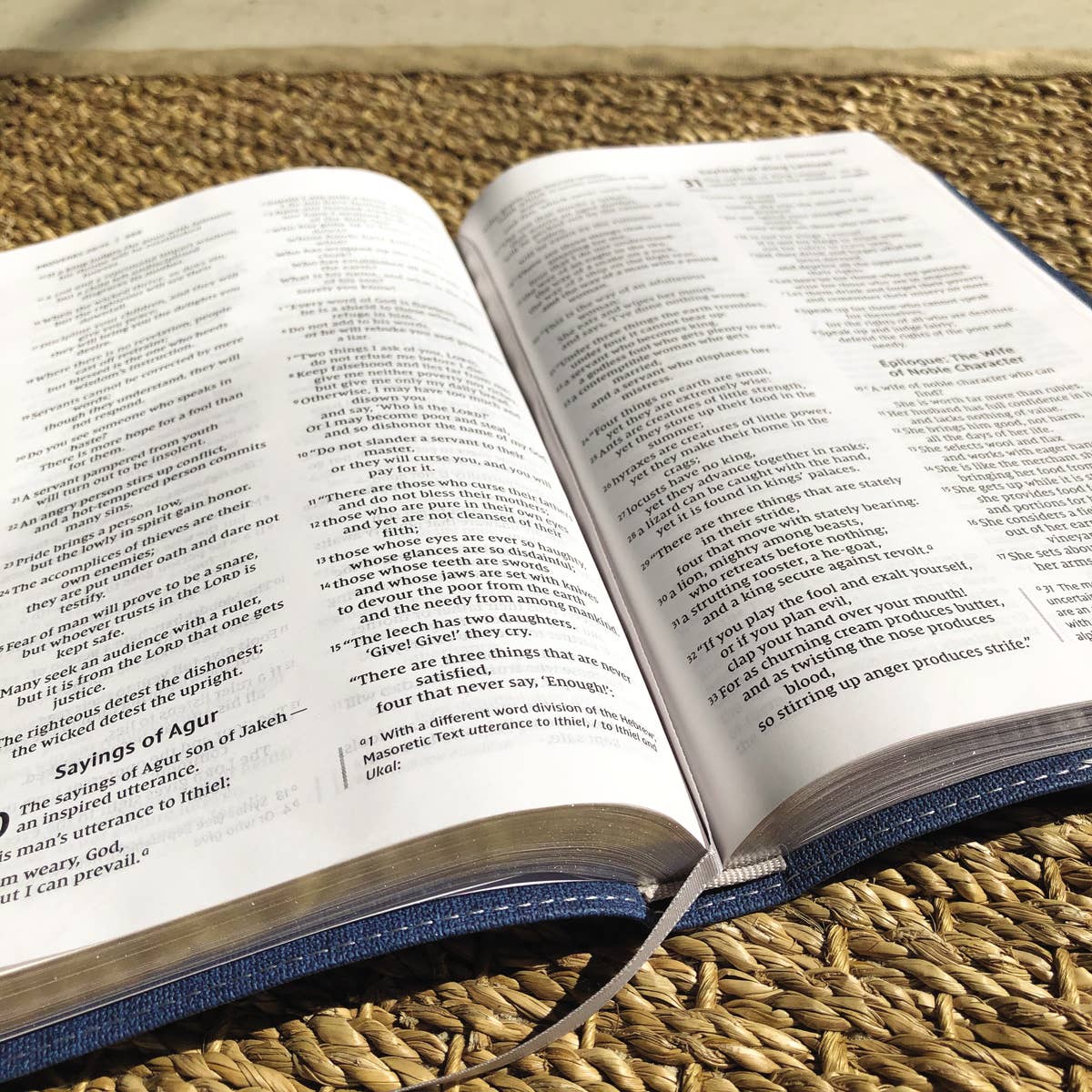 NIV, Bible For Teens