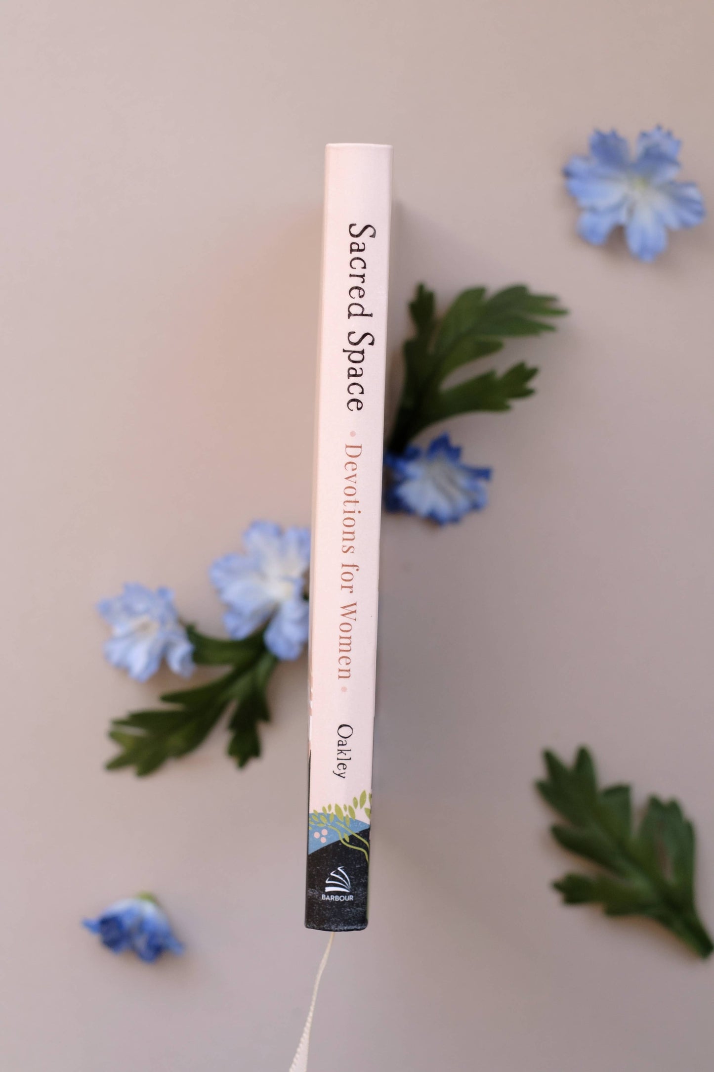 Sacred Space Devotions for Women: Quiet Moments with Jesus