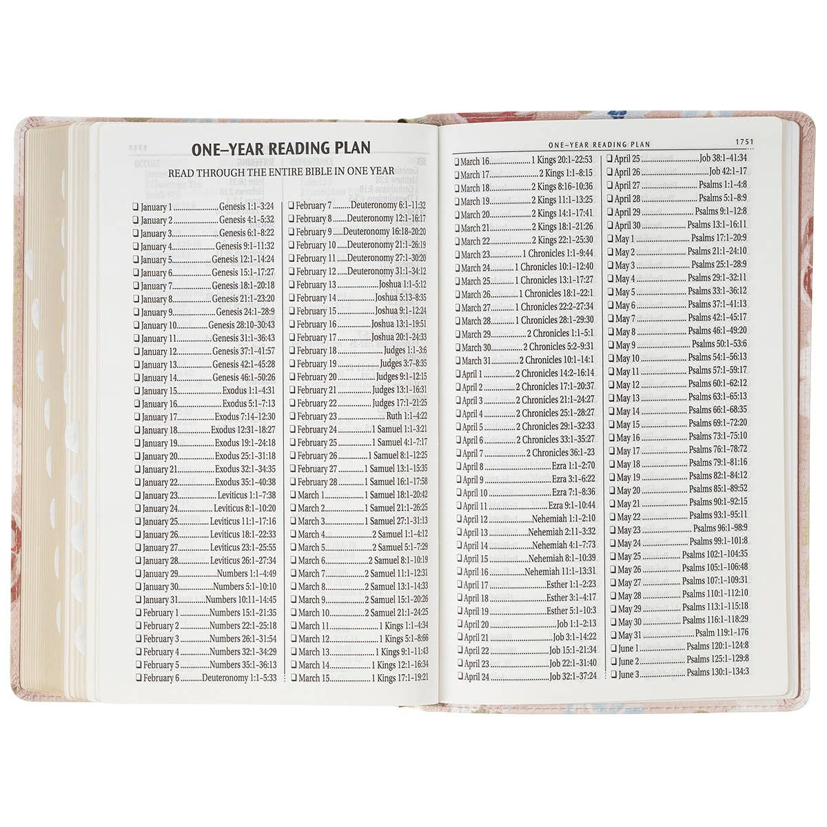 KJV Bible Giant Print Standard-size Faux Leather FloralPrint