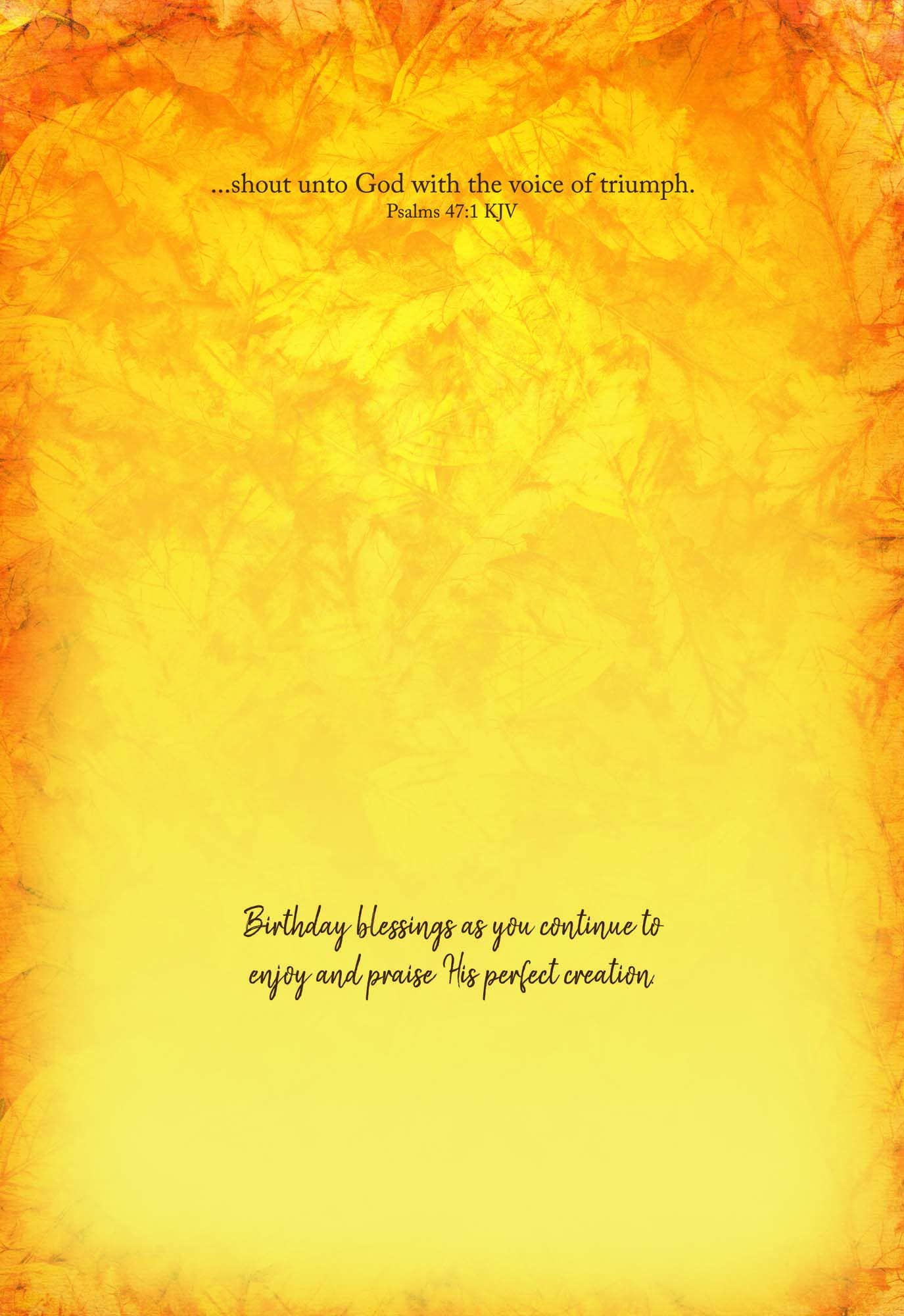 Birthday Wildlife - Assorted Birthday Cards Box of 12