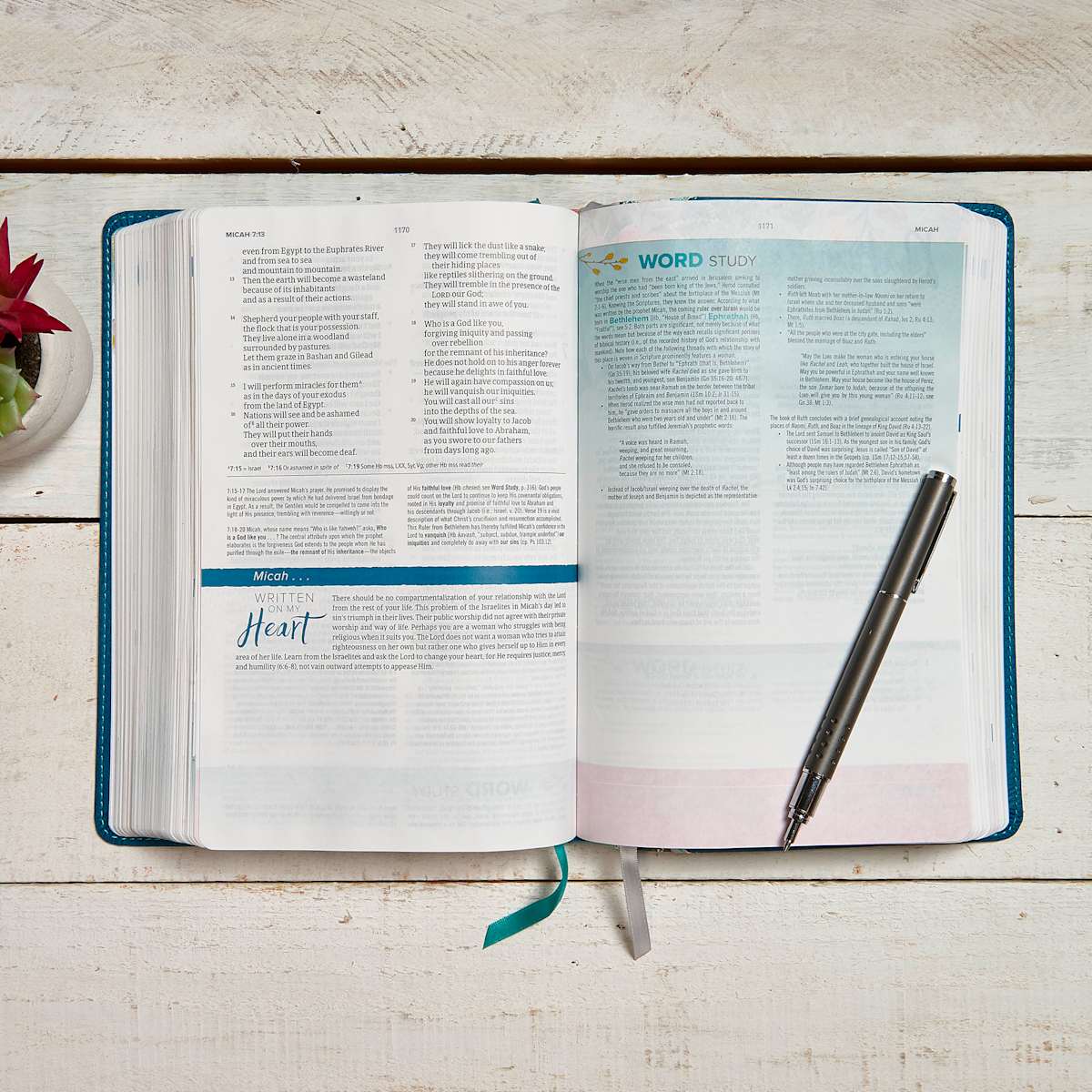 CSB Study Bible For Women, Teal Flowers LeatherTouch