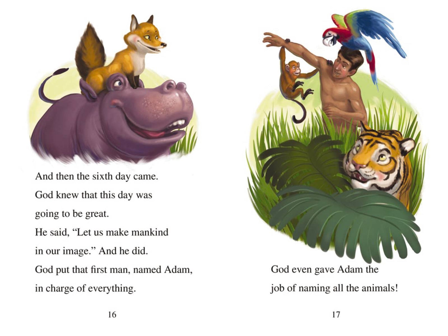 Adventure Bible Read Through The Bible