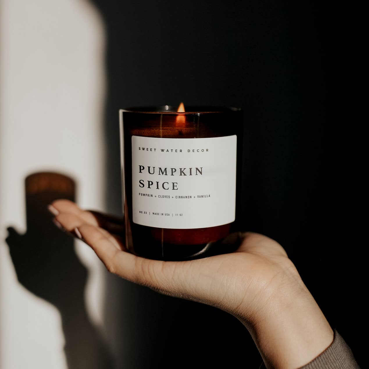 Pumpkin Spice 11 oz Soy Candle - Fall Home Decor & Gifts