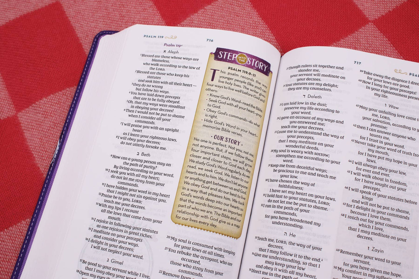 NIV Kingdom Girls Bible, Full Color, Leathersoft, Purple