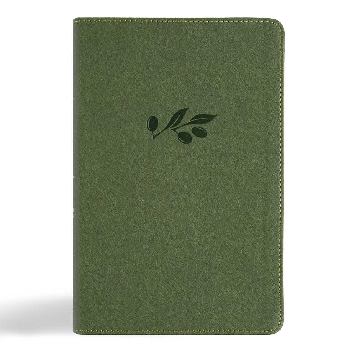 CSB Large Print Personal Size Digital Study Bible