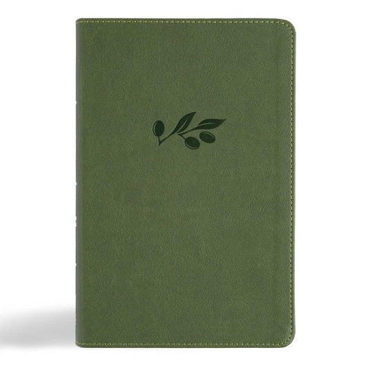 CSB Large Print Personal Size Digital Study Bible