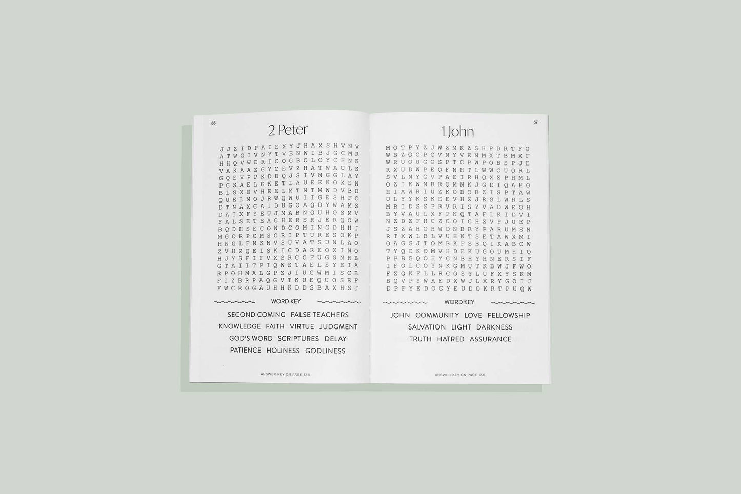 Bible Word Search for Adults (christian gifts)