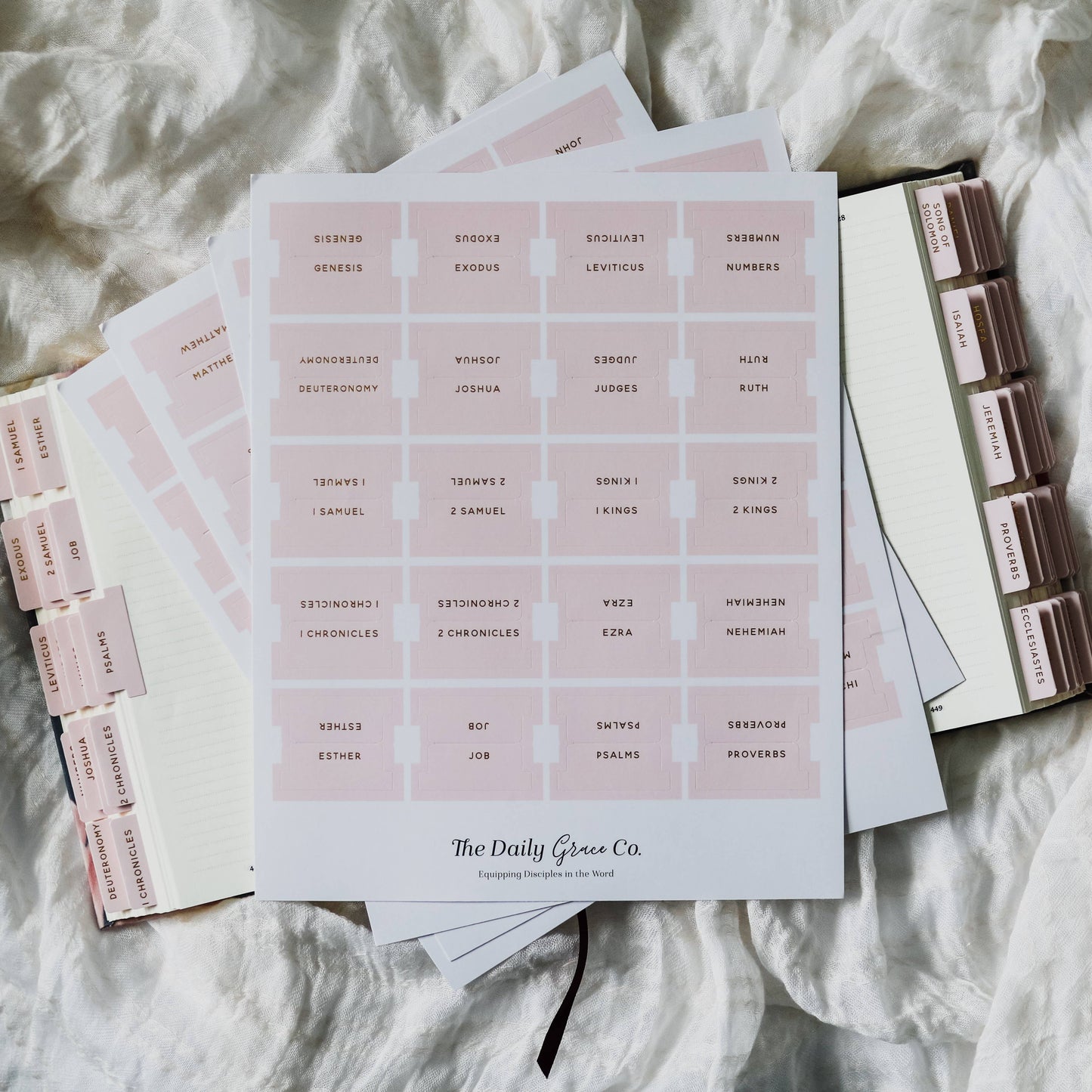 Blush Bible Tabs