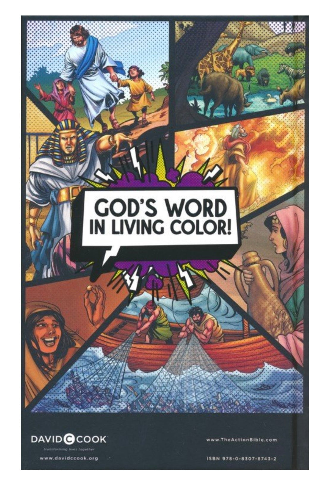NIV The Action Study Bible