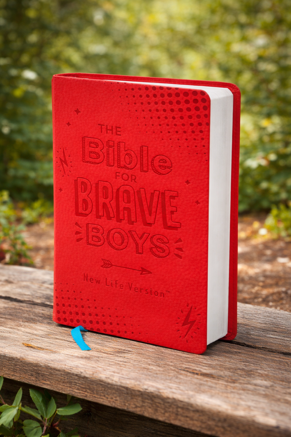 The Bible for Brave Boys: New Life Version