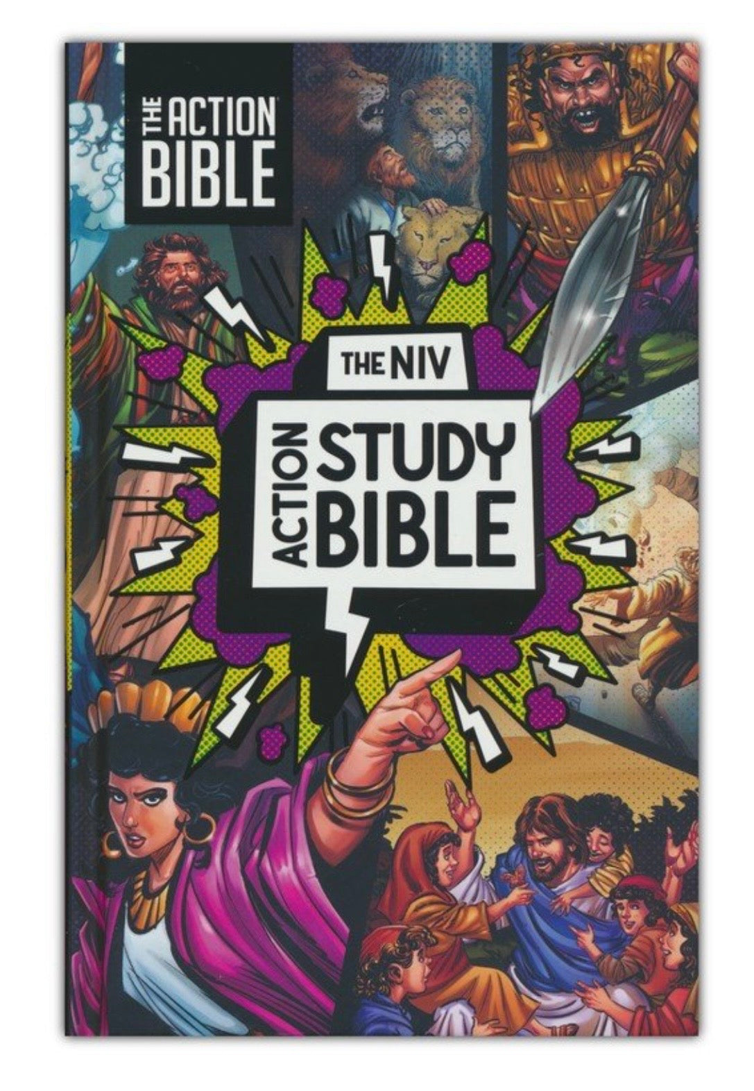 NIV The Action Study Bible