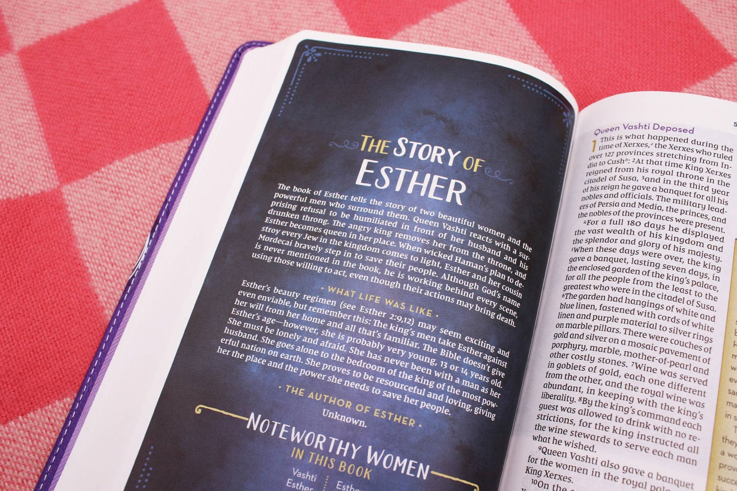 NIV Kingdom Girls Bible, Full Color, Leathersoft, Purple