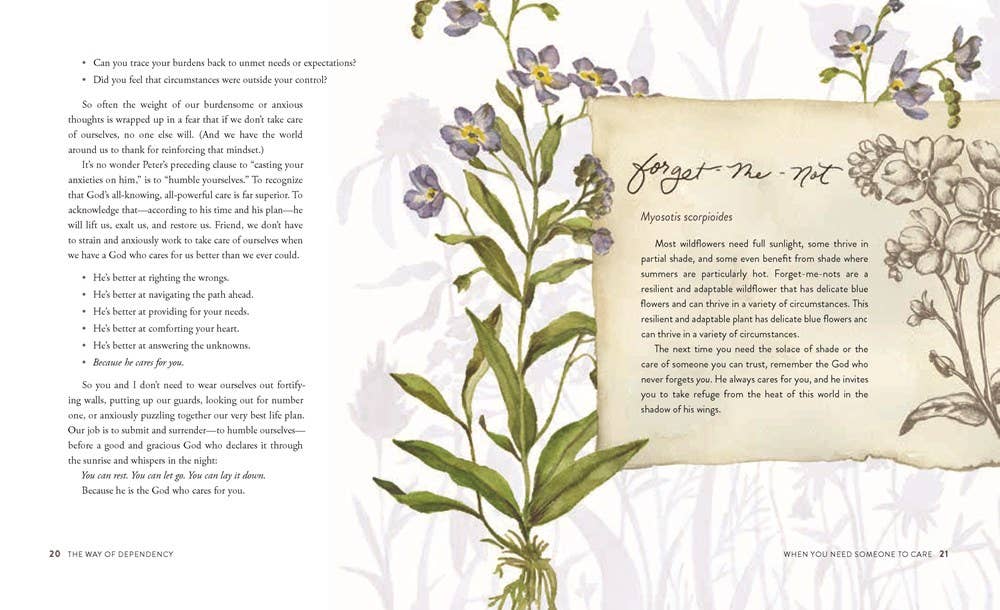 The Way of the Wildflower : Gospel Meditations to Unburden Y