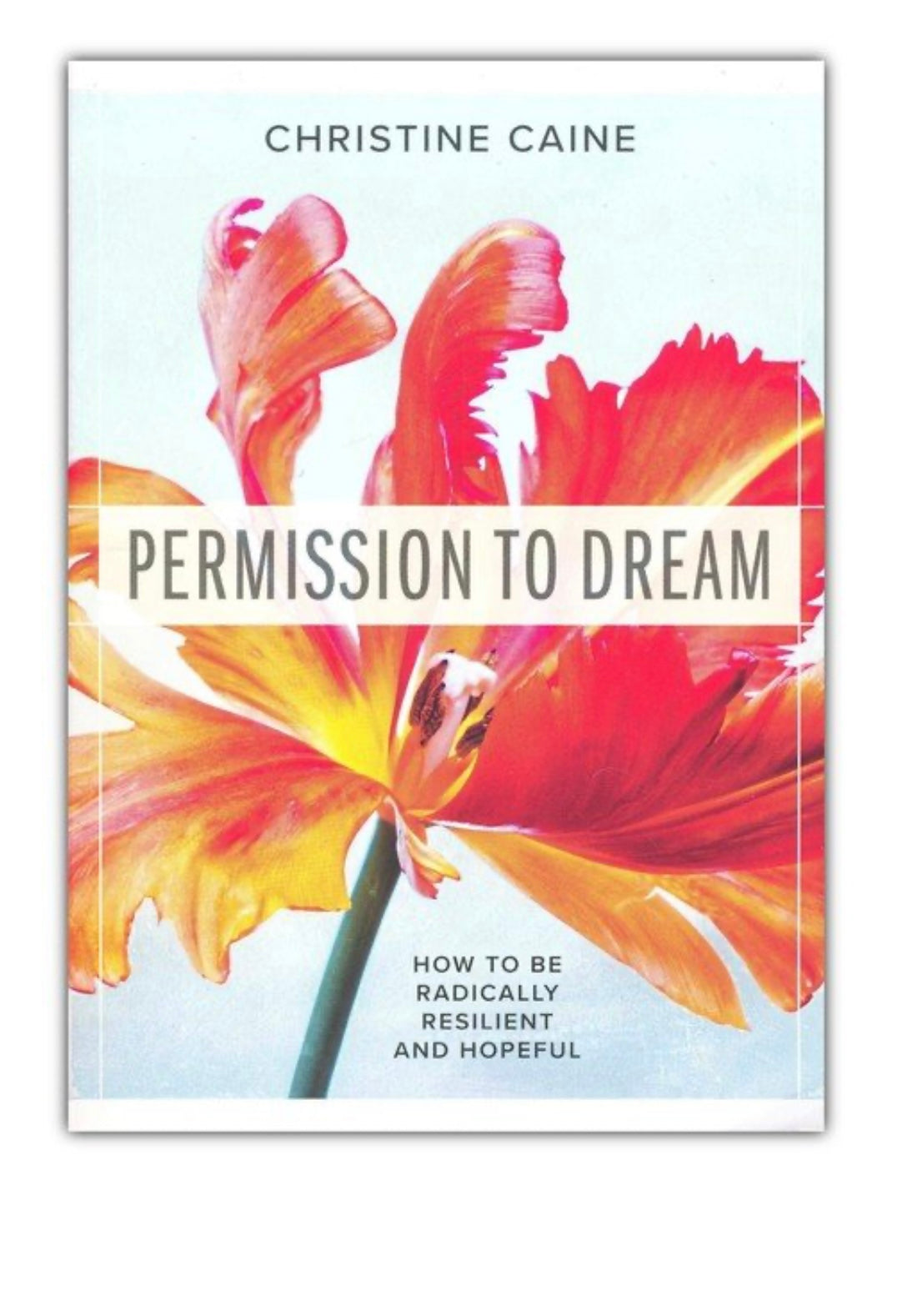 Permission To Dream | Christine Caine