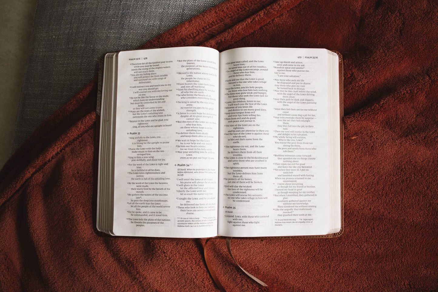 NIV Thinline Bible, Leathersoft, Brown, Red Letter